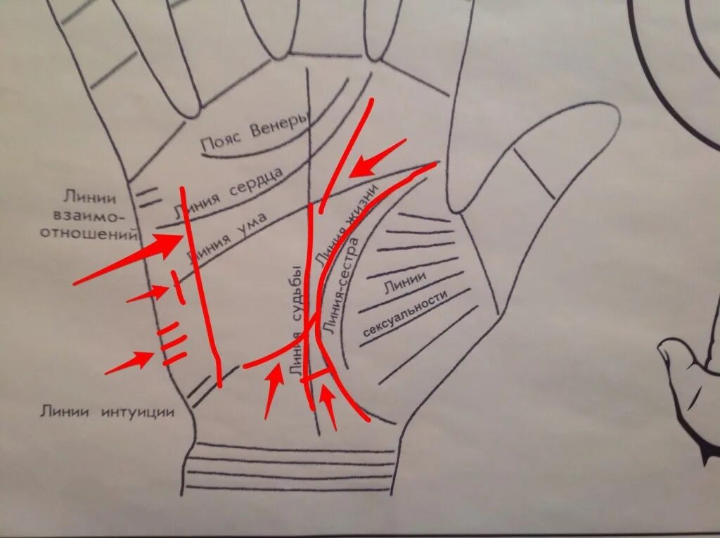 Линии на руке говорящие. Обозначение линий на ладони правой руки. Хиромантия линии. Хиромантия хирология palmistry. Хиромант линия жизни на ладони.