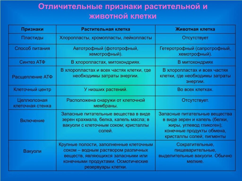 Отличительные особенности растительной. Основные методы изучения клетки 10 класс. Методы исследования в цитологии таблица. Метод изучения клетки таблица. Методы изучения клетки таблица биология 10 класс.