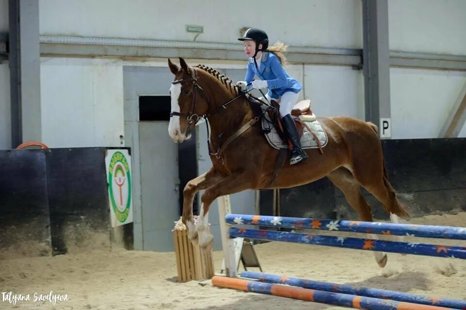 конный спорт в россии. мбу конного спорта. конный спорт. конкур иппик. троеборье конный спорт манежная езда.