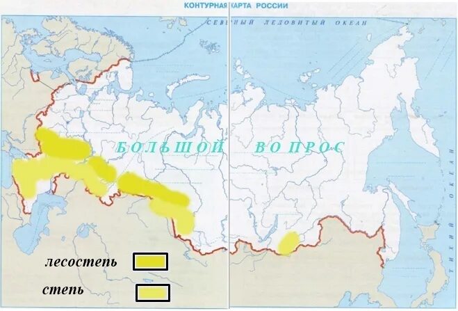 Степи и лесостепи расположение на карте. Зона степей на карте России. Географическое положение лесостепи и степи в России на карте. Лесостепная и Степная зоны на карте России.