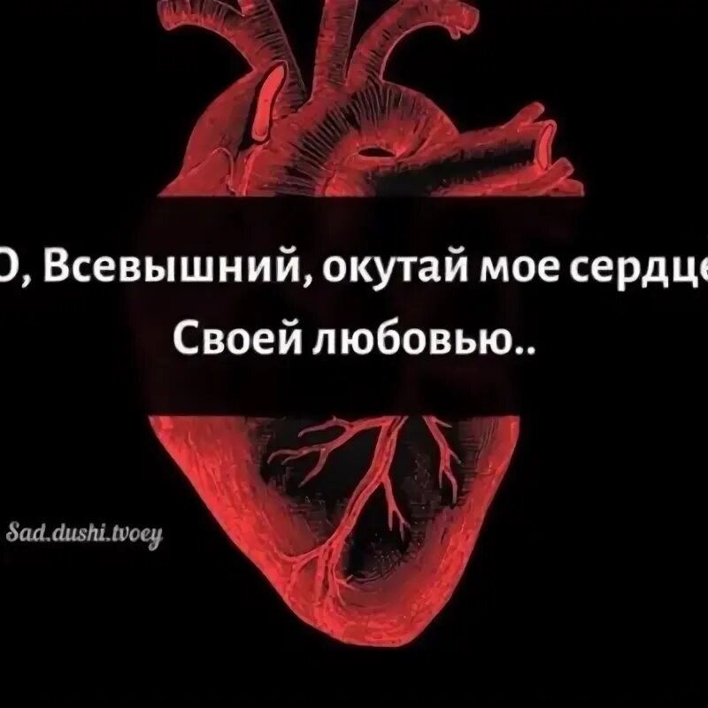 Любовь всевышний. О Всевышний когда я теряю надежду. Любовь к Всевышнему.