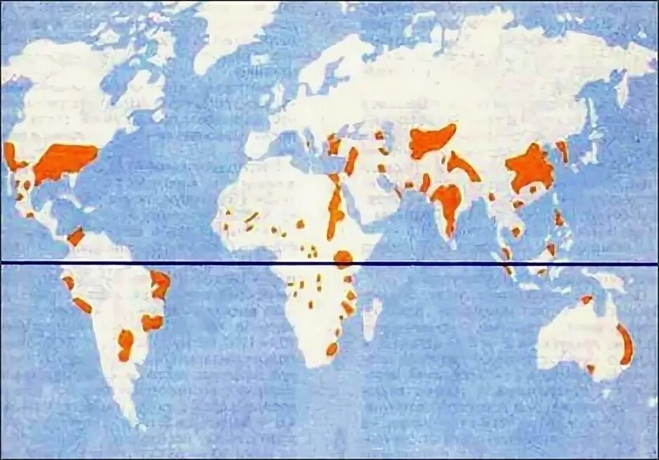 Ареал распространения хлопчатника. Районы возделывания хлопчатника. Где растет хлопок. Волокна растительного происхождения хлопчатника. Лидеры производства хлопка.
