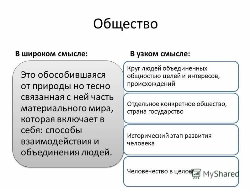 Общество в узком смысле ответ