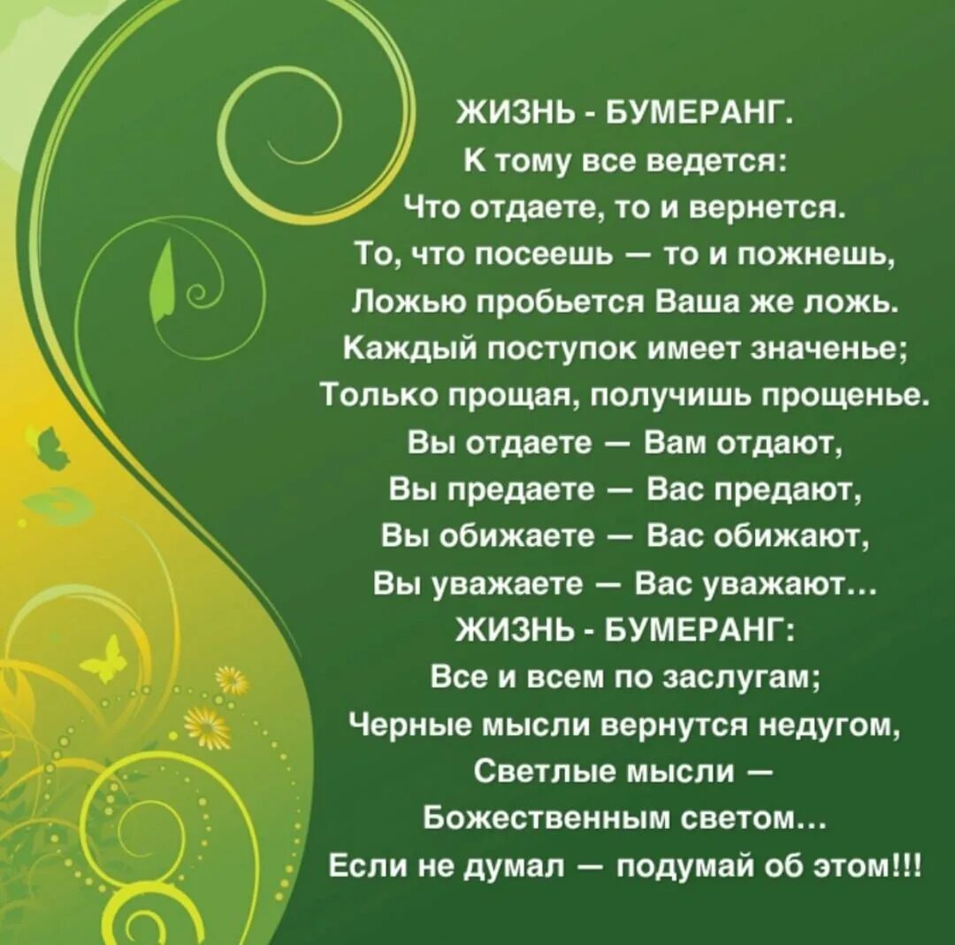 Про бумеранг в жизни. Жизнь Бумеранг. Высказывания про Бумеранг в жизни. Жизнь Бумеранг цитаты. Жизнь Бумеранг стих.