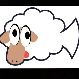 Sheep fish