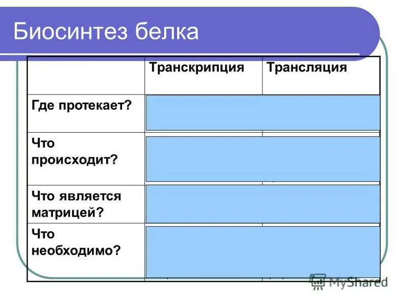 Схема регуляции транскрипции и трансляции в клетке. Процесс синтеза белка схема. Транскрипция рнк схема. Биосинтез клетки. Синтез рнк транскрипция.