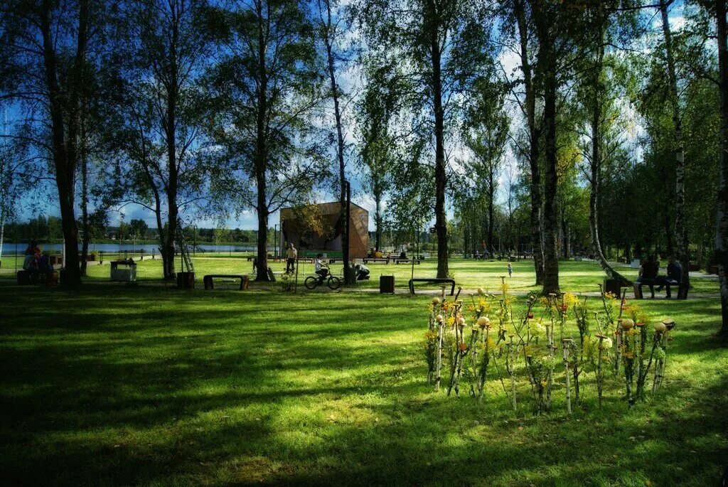 Солнечный берег запрудня. Парк солнечный берег запрудня. парк солнечный берег талдом. запрудня озеро солнечный берег. парк солнечный запрудня.