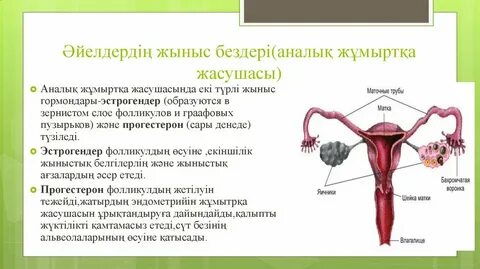 Ормандағы бейтаныс порно