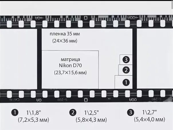Размер фотопленки. Размер фотопленки 35 мм. Кинопленки (шириной 35 мм. Кинопленка Размеры.
