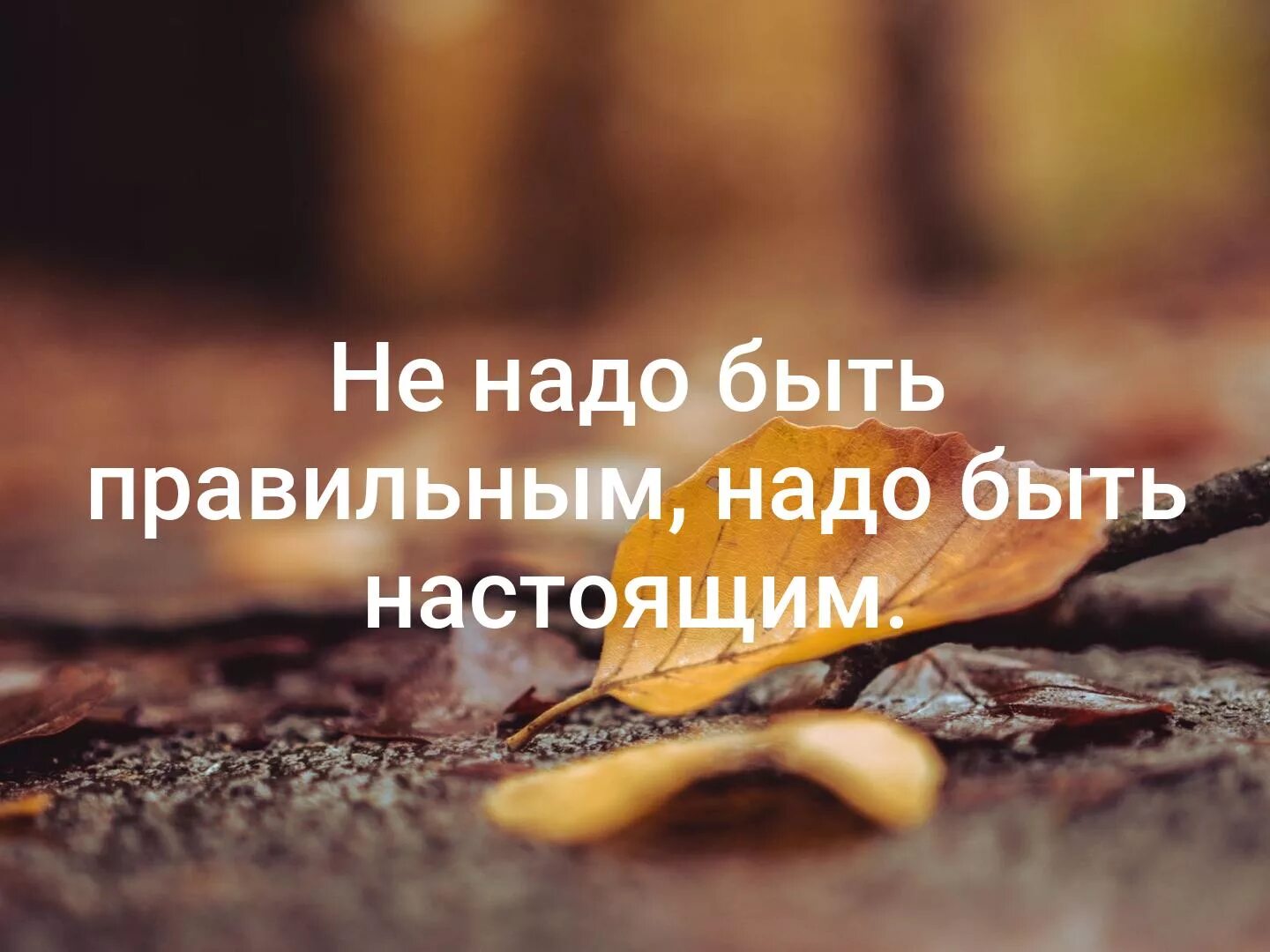 Ничего не будет просто скажи. Не надо быть правильным надо быть настоящим. НК надо быть правильным, надо быть настоящим. Научись никому ничего не рассказывать. Никогда никому ничего не рассказывай цитаты.