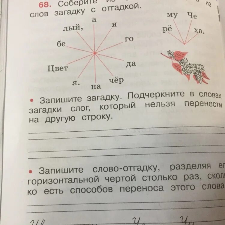Прочитай запиши отгадки. Запиши слова. двух слодные слова которые нельзя перенести. слова с 2 словами которые нельзя перенести. двусдожные слова которые не льщя перенести.