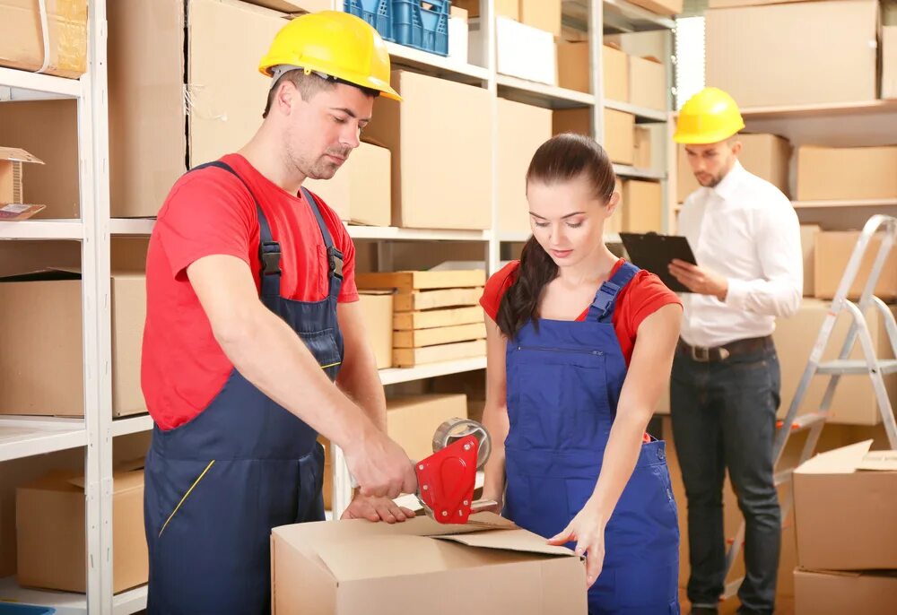 бизнесмен на складе. товаровед кладовщик. продавец в кондитерской. комплектовщик на склад. старший кладовщик.