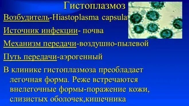 Гистоплазмоз это. Гистоплазмоз возбудитель. препарат при гистоплазмозе. механизм передачи гистоплазмоза.