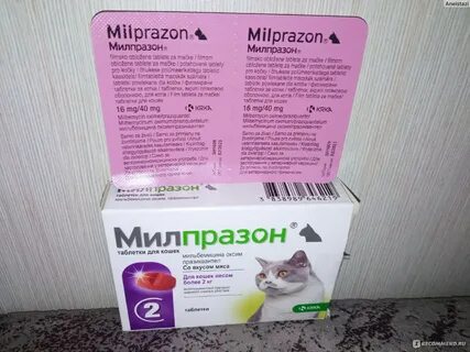 Милпразон обзоры