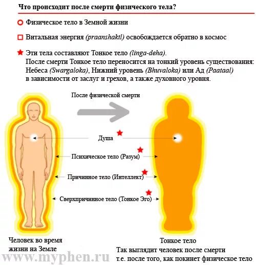 Тонкое тело после смерти человека. Душа человека после смерти. Физическое тело человека. Что происходит с душой через