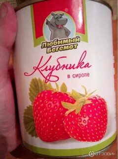 Любимый бегемот