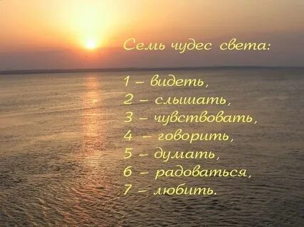Семь чудес жизни