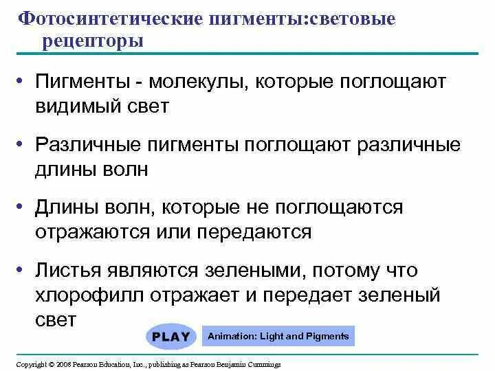 Эколого-биохимическая характеристика почв и подорожника большого (Plantago Major