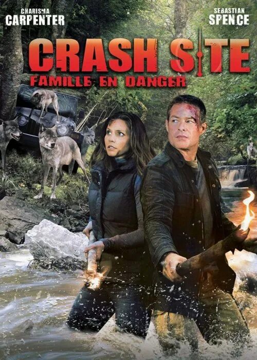 Crash landing (2005). Crash site