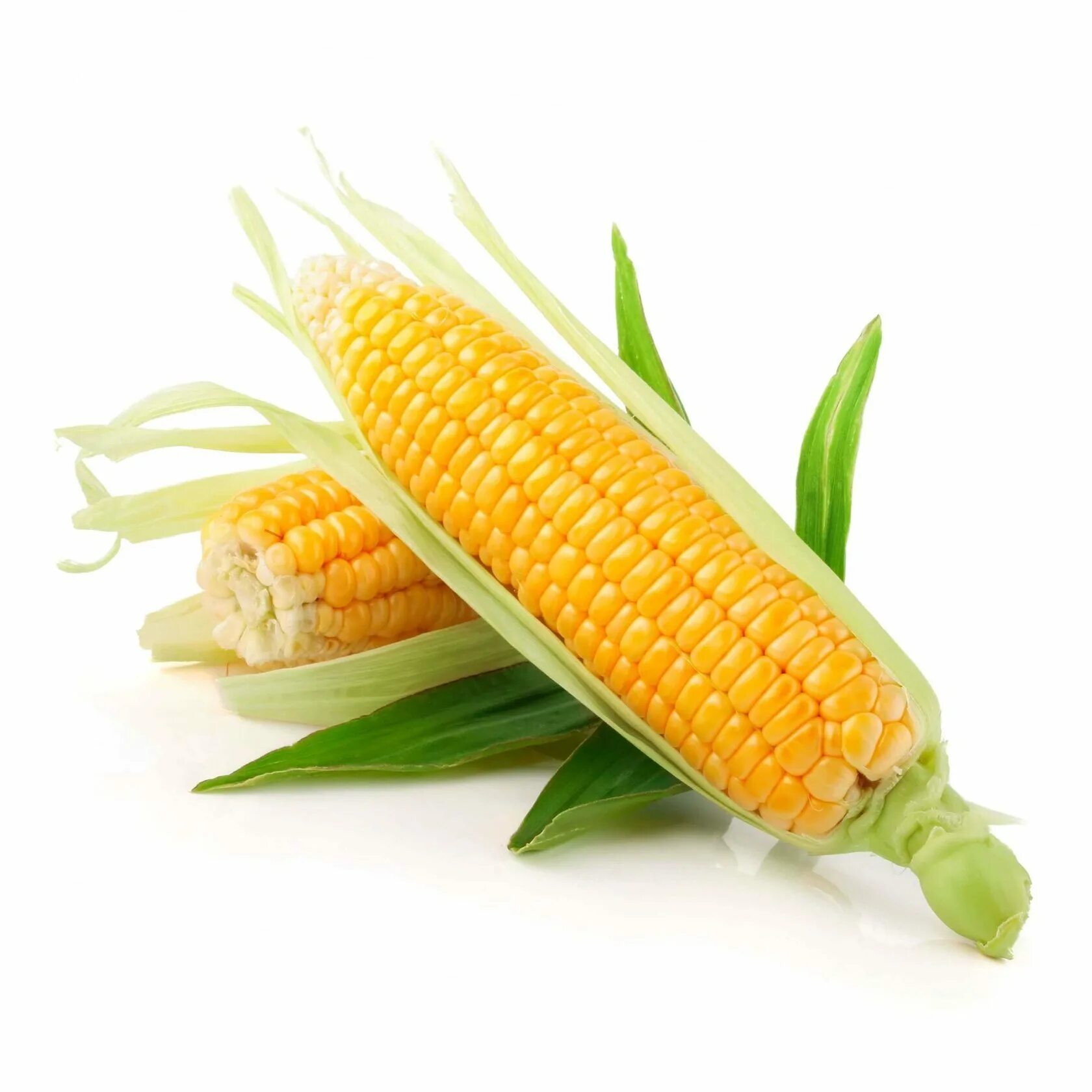 Кукуруза початок. Кочерыжка кукурузы. Качан кукурузы. Мисир, Misir. Corn кукуруза