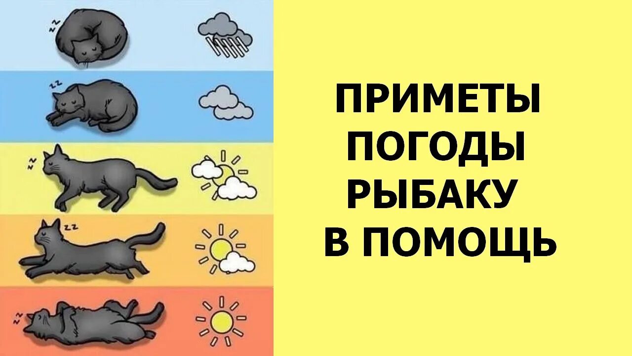 Народные приметы рисунок. Нарисовать приметы о погоде. Приметы погоды рисунок. Приметы картинки. Art assorty ru народные приметы