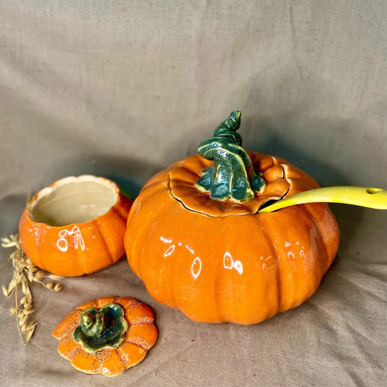 Тыква cucurbita maxima. Праздник тыквы. Красивая тыква. Тыква сибель. Тыква в огороде.