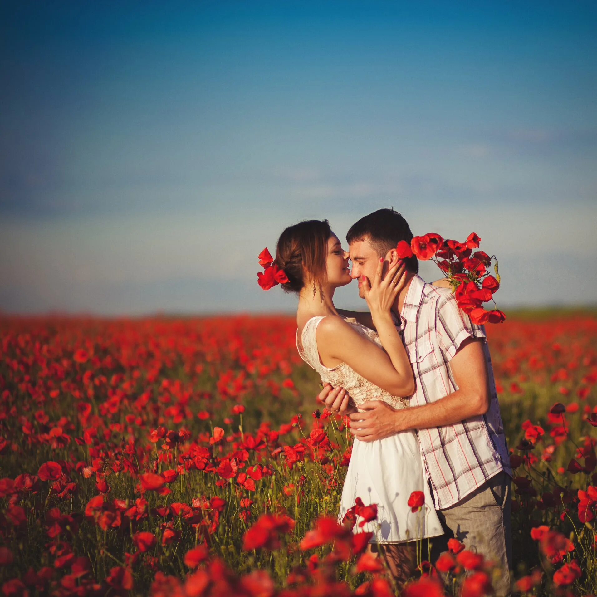 Kiss flowers. Фотосессия в поле. Влюбленные в цветах. Влюбленные на природе. Фотосессия в цветочном поле.