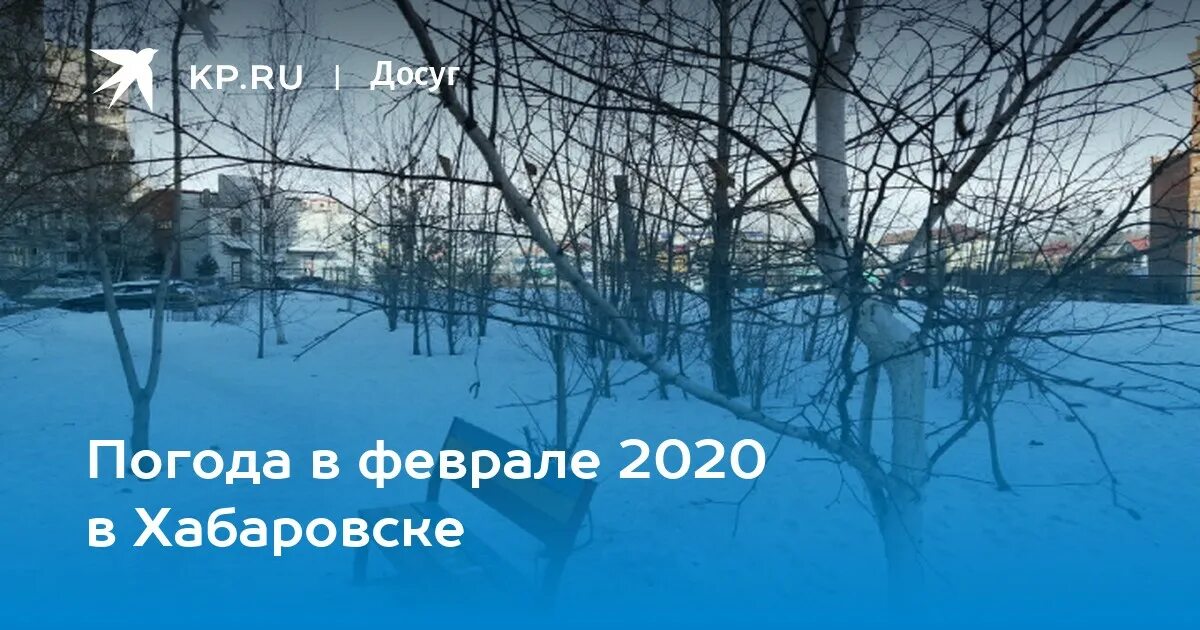 Хабаровск погода на неделю 14 дней. Хабаровск в феврале. Зимние месяца Хабаровска. Погода в Хабаровске на месяц. Погода на 2 месяца Хабаровск.