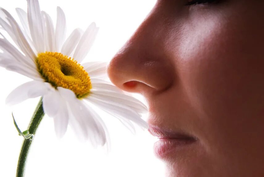 Why you smell this flower. Why you smell this flower