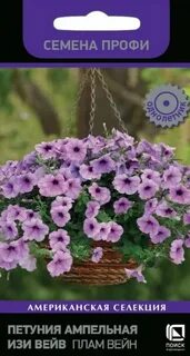 Петуния изи вейв фото отзывы