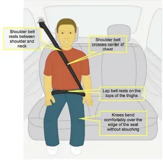 Wear a seat belt перевод