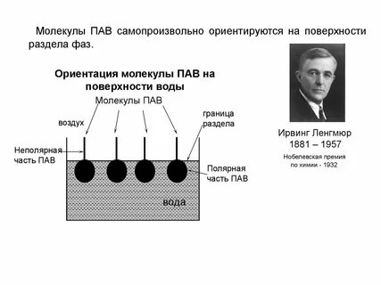 Живых пав