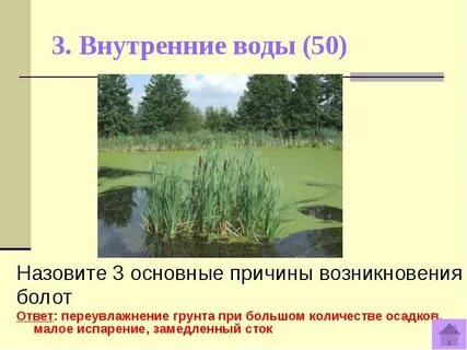 Каковы основные причины образования болот