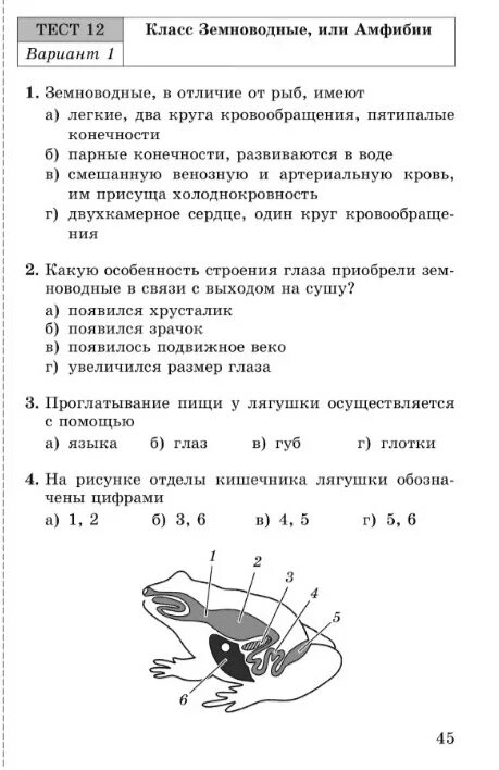 Тест по биологии 8 класс глаз. Тест по биологии 7 класс земноводные. Тест 12 класс земноводные или амфибии. Контрольная работа по биологии земноводные. Тест земноводные амфибии тест по биологии.