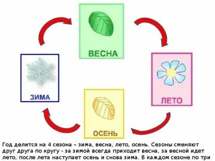 Какое время года идет после зимы