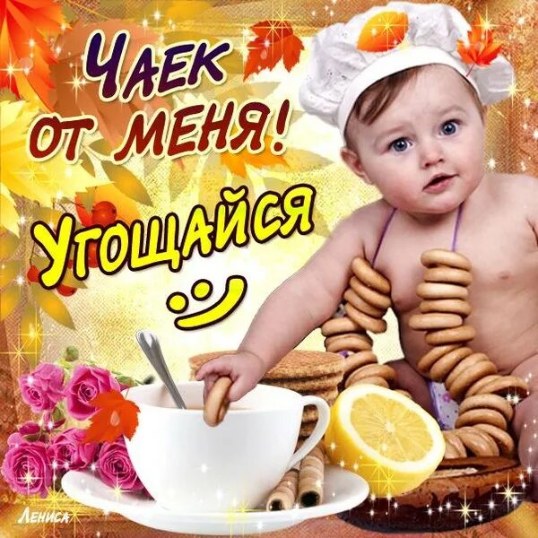 Пробуй я угощаю