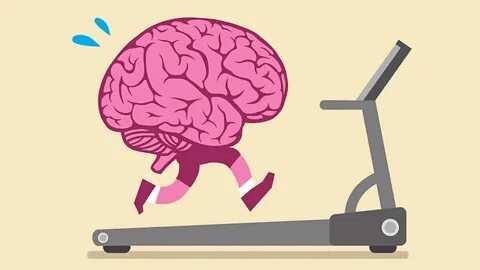 Brain but