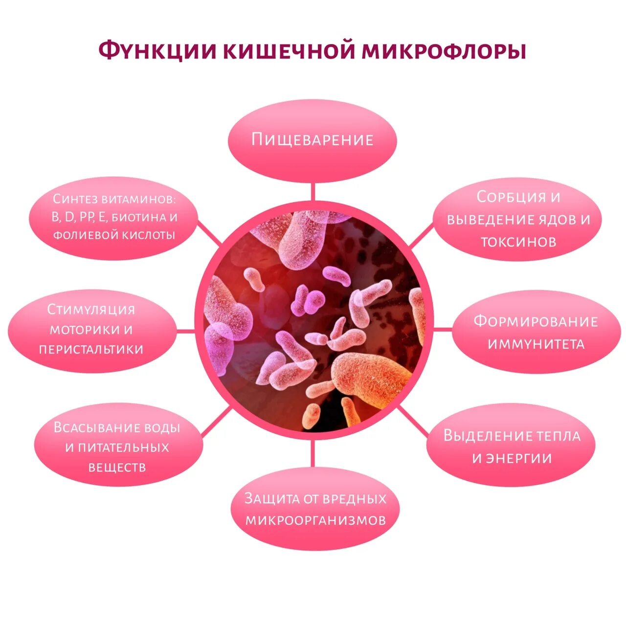 Структура нормального микробиома не соответствует норме