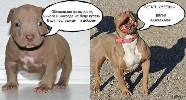 Что нибудь выросло