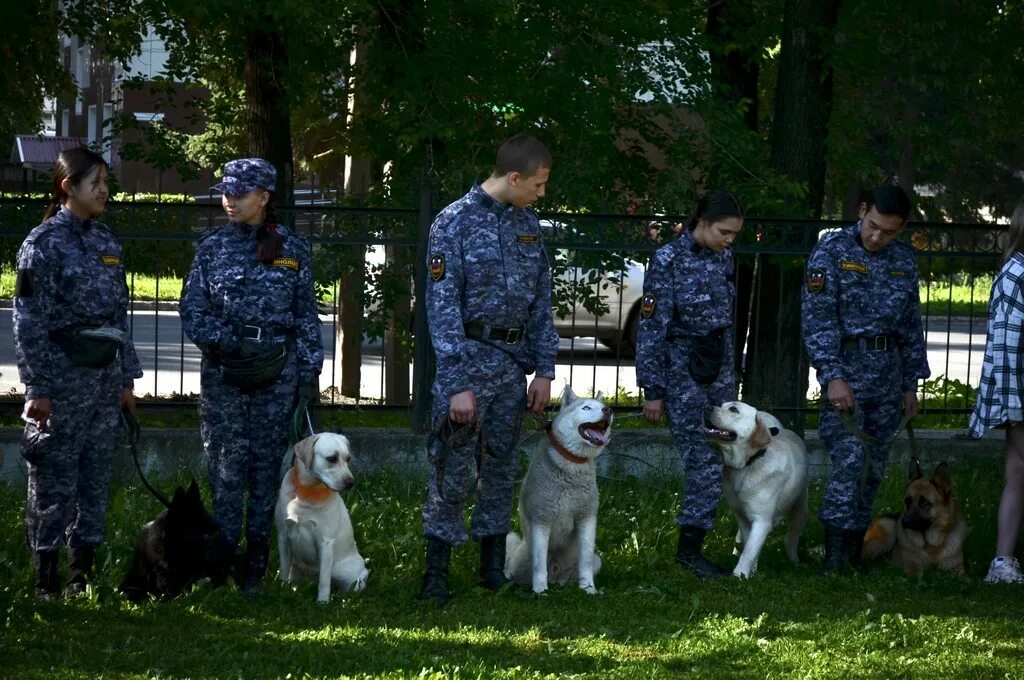 Кинологический колледж после 9 класса. Иркутский аграрный техникум кинология. Кинологический колледж Скрябина. Аграрный техникум Иркутск кинолог. Оренбургский колледж кинологии.