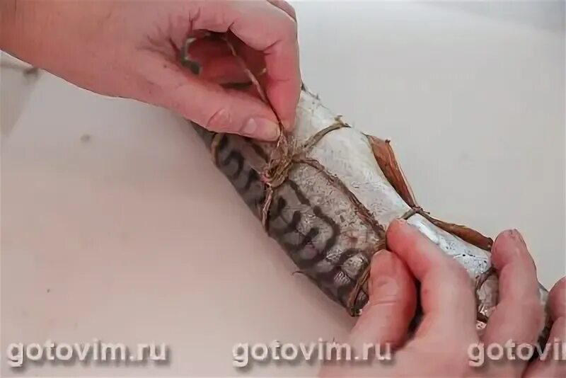 Как обвязать рыбу для копчения шпагатом. Рыба перевязанная шпагатом. обвязка рыбы для копчения шпагатом. скумбрия обвязанная веревкой при копчении. рыбу какого копчения перевязывают шпагатом.