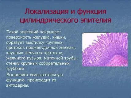 Пролиферация железистого эпителия nilm