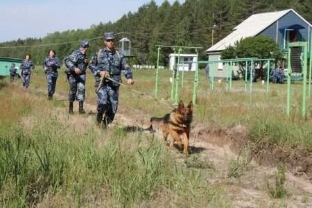 Группа преследования