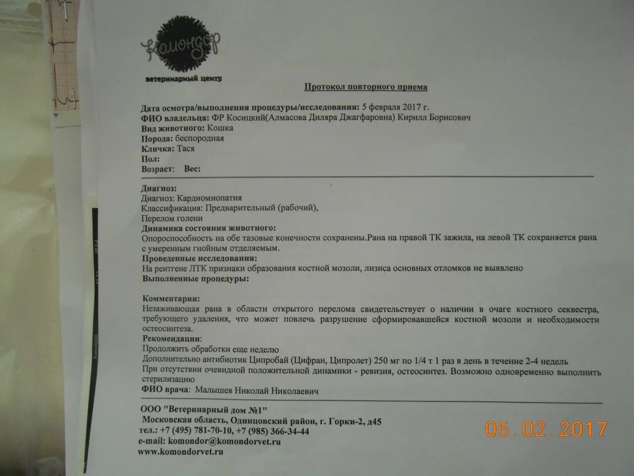 Протокол операции по стерилизации. Ветеринарный протокол. Справка о стерилизации собаки. Ветеринарный протокол приема. Акт вскрытия животного