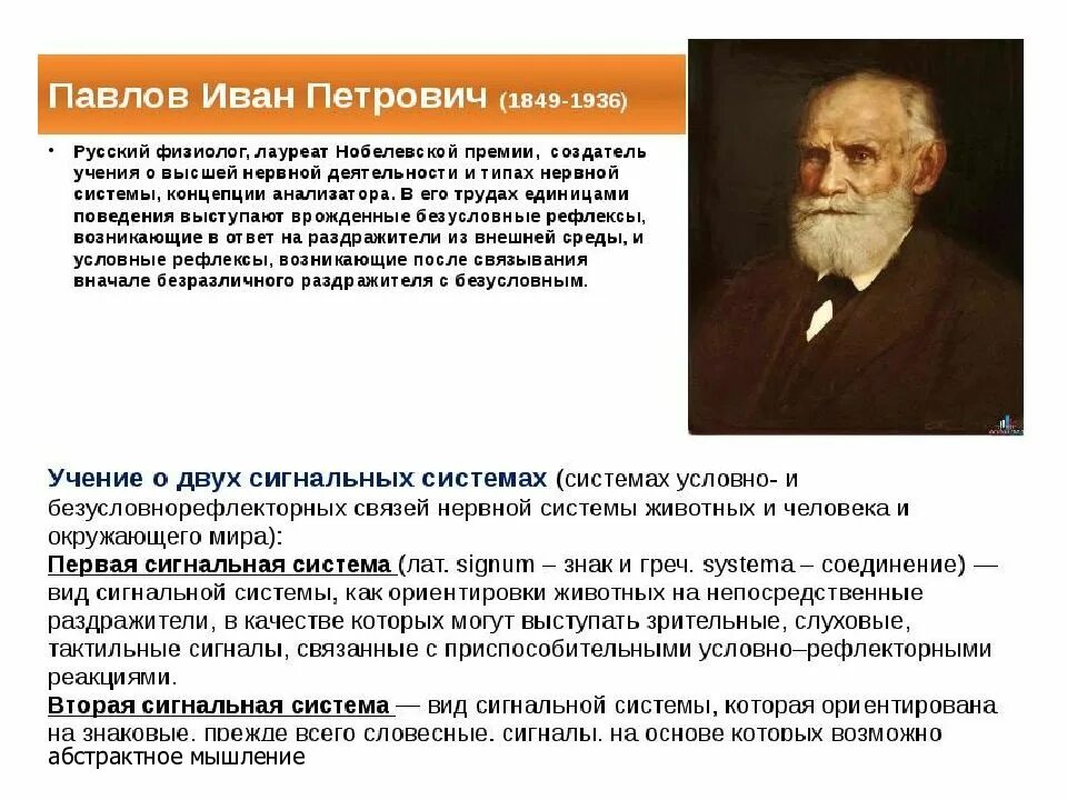 Слово по и п павлову это