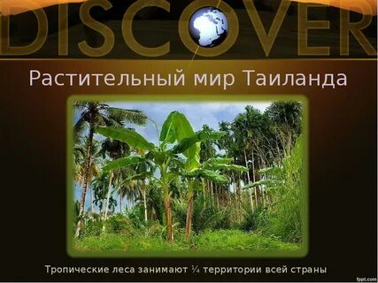 Презентация тайланд