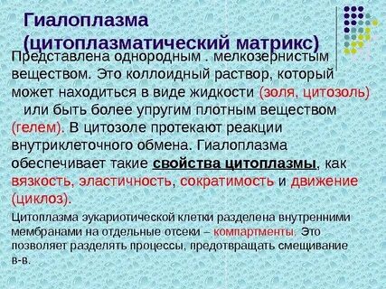 Гиалоплазма это