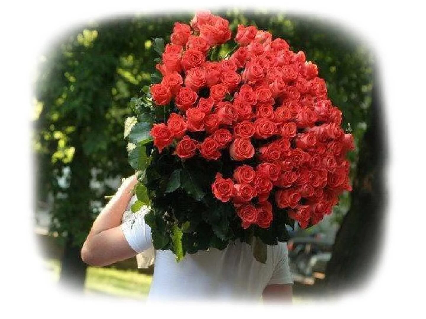 Эй какой хороший день чтобы подарить цветов. Дарите девушкам цветы. Дарит букет роз. Мужчины Дарите девушкам цветы без повода. Подари мне цветы.