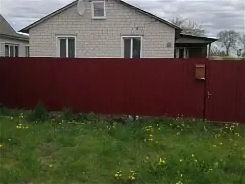 Авито мглин недвижимость дома
