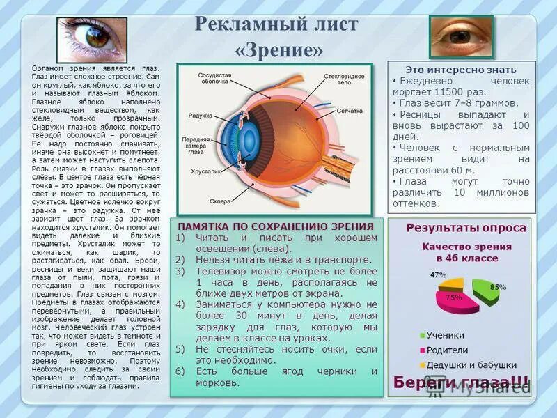 Функция защита зрения. Памятка для зрения. Памятка на тему зрение. Памятка профилактика органов зрения. Буклет на тему зрение.